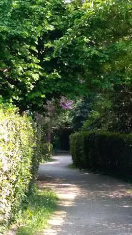 Campagna dentro le Mura