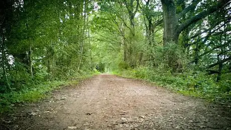 Hartfield forest way