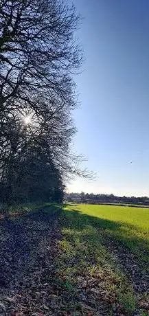 Knowle Viaduct