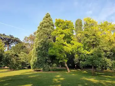 Parc Henri Matisse