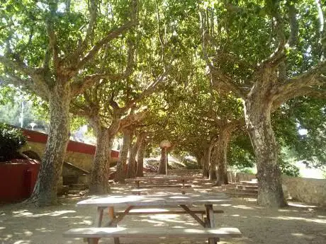 Zona de picnic al Passeig del Riu