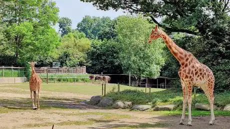 Parc Zoologique de Champrépus