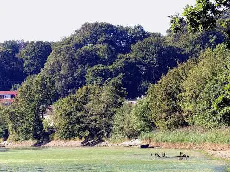 Chessel Bay Nature Reserve