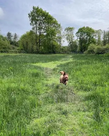 Upper Flexford Nature Reserve