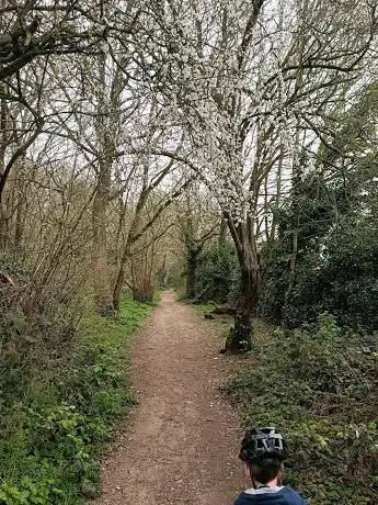 Marlpit Woods