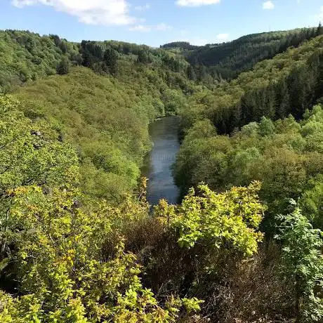 Le Hérou - Le Parc naturel des deux Ourthes