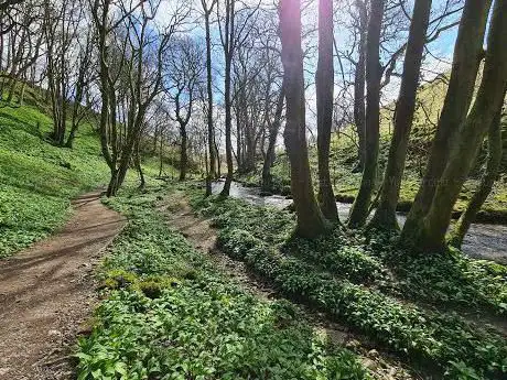 Janet's Foss