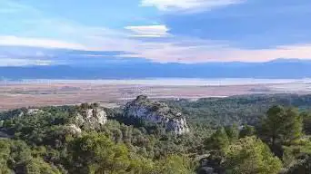 Garrigue de Figuières