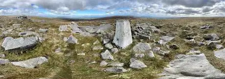 Ward's Stone