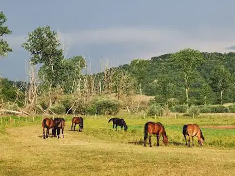 Centro equestre 