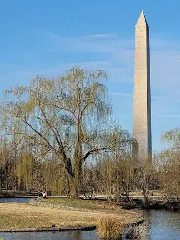 Constitution Gardens