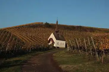 Kaiserstuhl Touristik e.V.