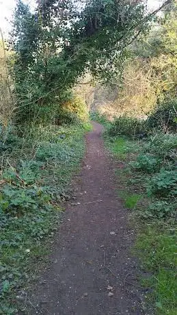 Brett concrete path