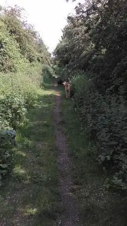 Isleham Nature Reserve