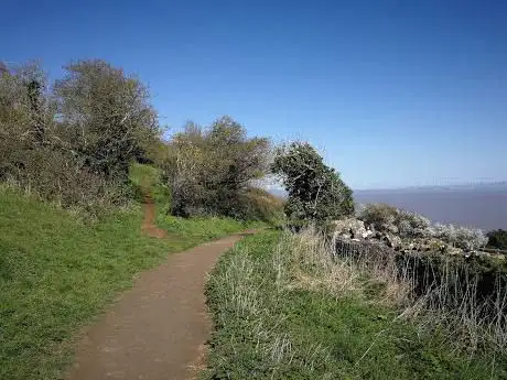 Howardian Local Nature Reserve