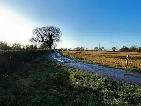 Ladywood Fields