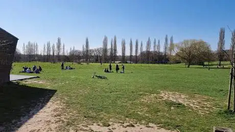 Belfairs Park Woodland Play Area