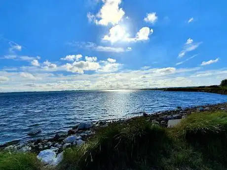 Hayling Island Nature Reserve.