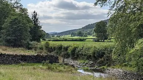 Grizedale Forest - Forestry England