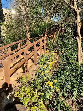 Barbican Wildlife Garden