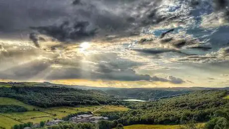 Blackbrook Wood Viewpoint