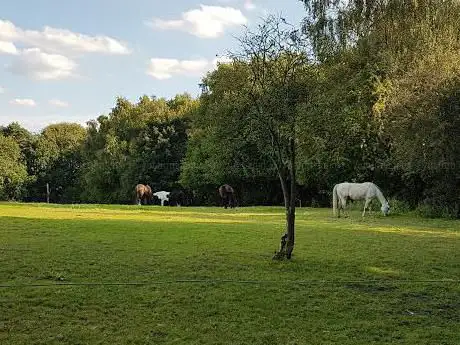 Havering Country Park