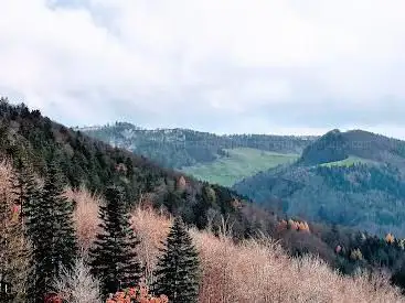 BreitehÃ¶chi Pass