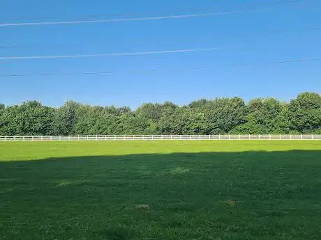 Rugby Drive Playing Fields