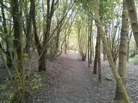 Filnore Community Woodland