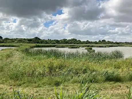 Meon Shore Hide