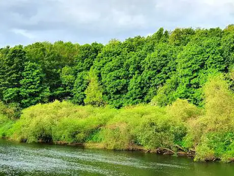 Riverside Wildlife Area