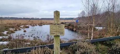 Bettisfield Moss