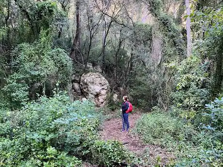 Font d'Horta