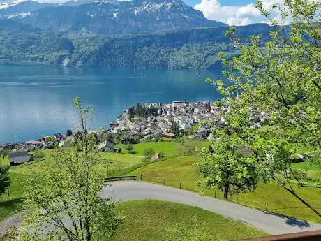 Lucerne lake view