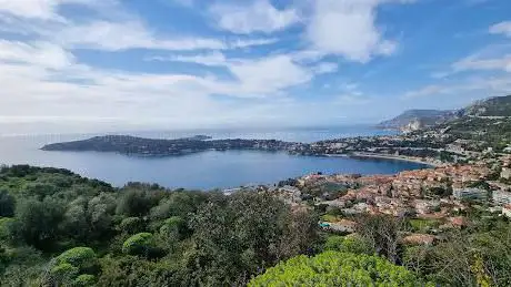 Point de vue Ã  la tête de chien