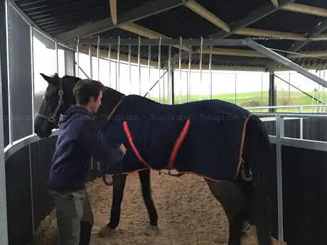 Sebastien Poirier - Show Jumping Training