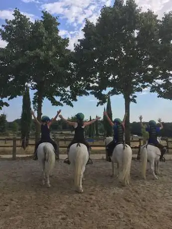 Associazione Equestre Fogliarina di Sheena Tanganelli e Figli