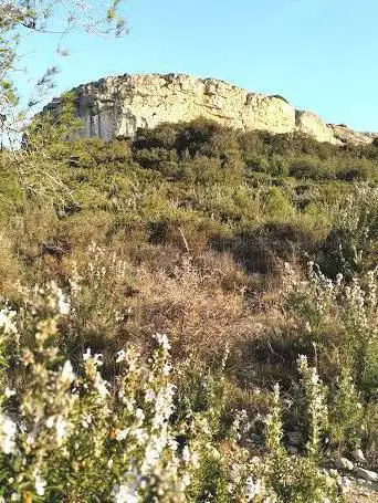 Falaises du Puech des Mourgues Ã  Saint-Bauzille-de-Montmel