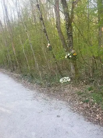 Parcours De Santé Terville