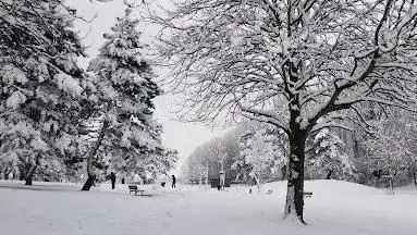 Parc Yvonne Abbas