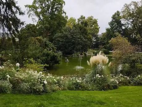 Jardin des plantes d'Angers