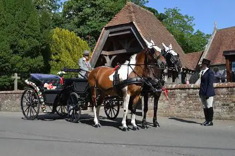 CELEBRATION CARRIAGES