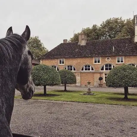 Charlton Park Stables