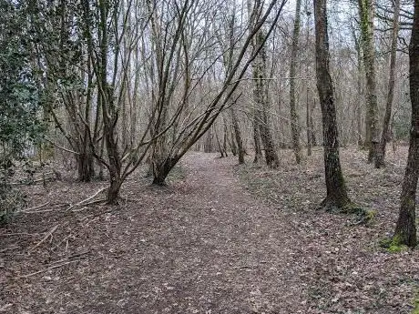 Whiteley walk