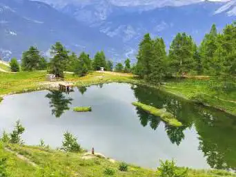 Parco Naturale del Gran Bosco di Salbertrand