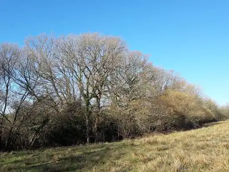 Kingcombe Visitor Centre