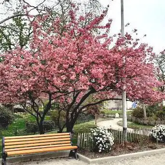 Parc des Anciennes Mairies