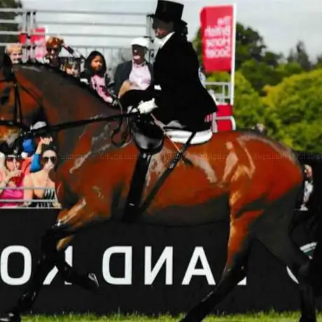 Marden Grange livery stables