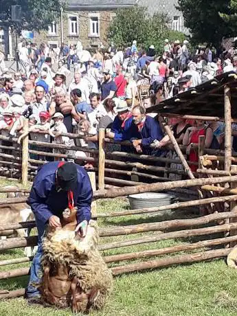 Les Amis de la Vallee de la Hoegne