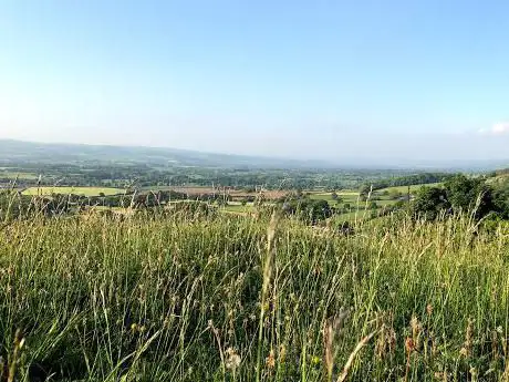 Y Graig North Wales Wildlife Trust nature reserve